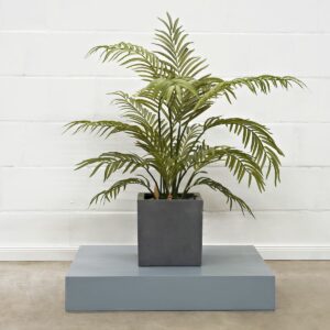 Forest Palme 100 cm