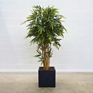 New Natural Bambus 180 cm