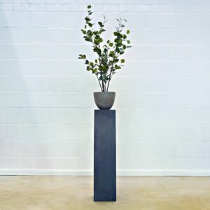 Eukalyptus 120 cm