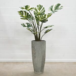 Monstera grün-weiss 120 cm
