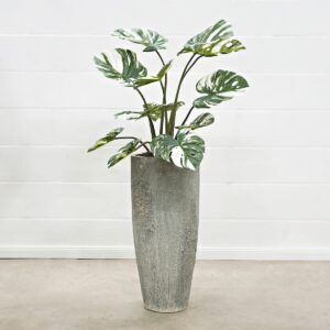 Monstera grün-weiss 90 cm