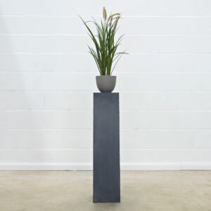 Cattail Gras 85 cm