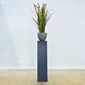 Cattail Gras 100 cm